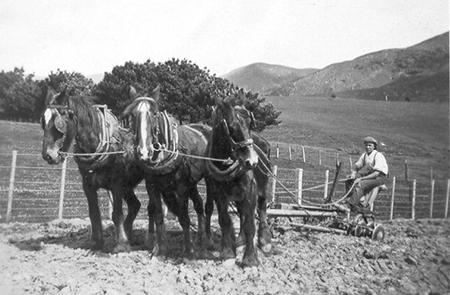 Len Stebbings ploughing the Accommodation Road