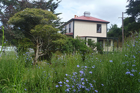 House in summer flower garden