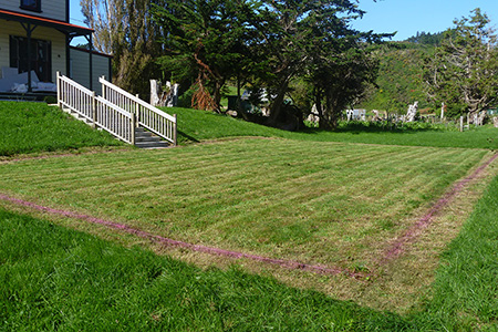 Marking the lawn
