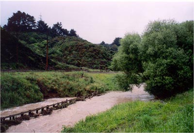 Flood 2001