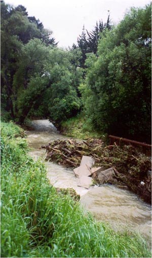  Flood impacts 2001