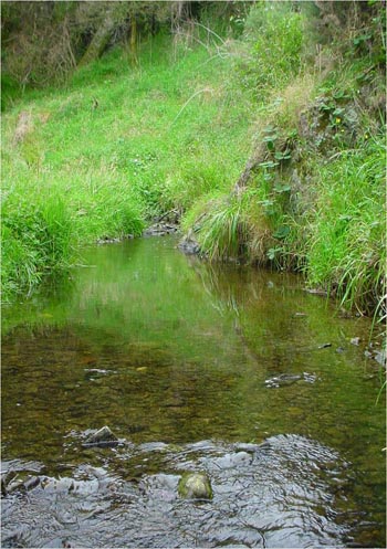 Stebbings Stream