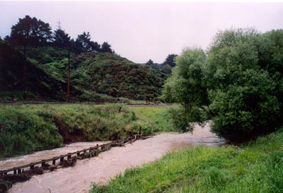 Stream in flood 2001